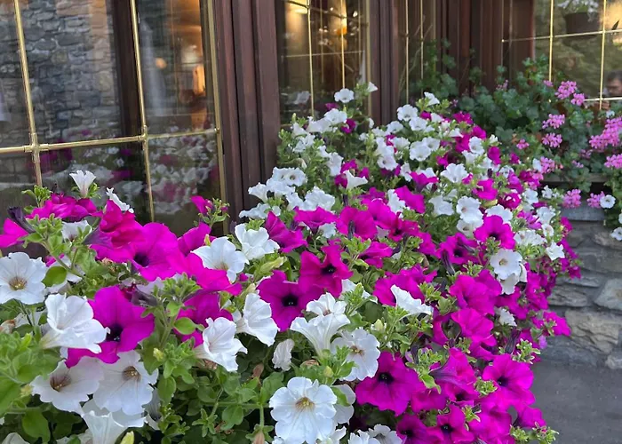 Hotel Coeur Du Village 2*